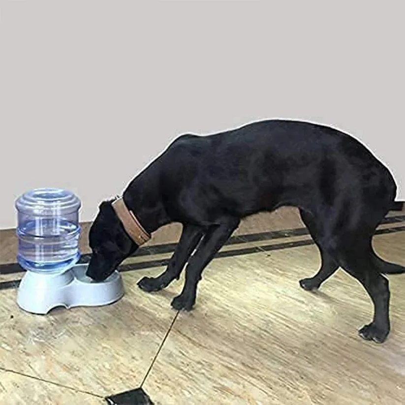 Automatic Pet Water & Food Dispenser – Gravity Self-Feeder | Waggy Tales — 6